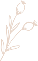 Leaves v2